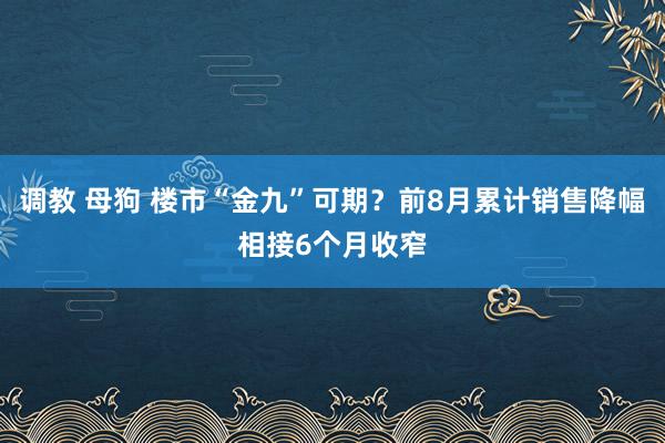 调教 母狗 楼市“金九”可期？前8月累计销售降幅相接6个月收窄