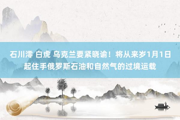 石川澪 白虎 乌克兰要紧晓谕！将从来岁1月1日起住手俄罗斯石油和自然气的过境运载