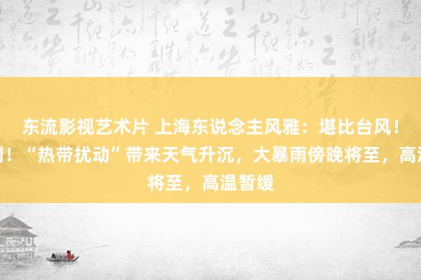 东流影视艺术片 上海东说念主风雅：堪比台风！随即到！“热带扰动”带来天气升沉，大暴雨傍晚将至，高温暂缓