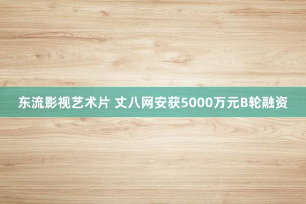 东流影视艺术片 丈八网安获5000万元B轮融资