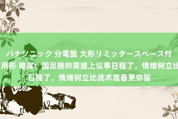 パナソニック 分電盤 大形リミッタースペース付 露出・半埋込両用形 粤媒：国足换帅需提上议事日程了，情绪树立比战术准备更弥留