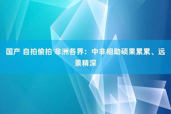 国产 自拍偷拍 非洲各界：中非相助硕果累累、远景精深