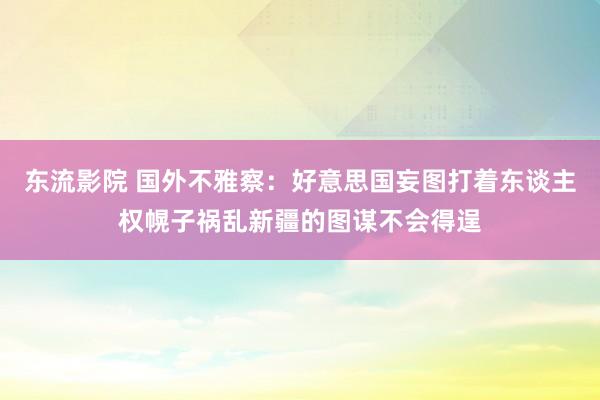 东流影院 国外不雅察：好意思国妄图打着东谈主权幌子祸乱新疆的图谋不会得逞