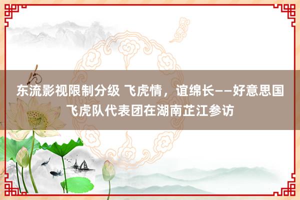 东流影视限制分级 飞虎情，谊绵长——好意思国飞虎队代表团在湖南芷江参访