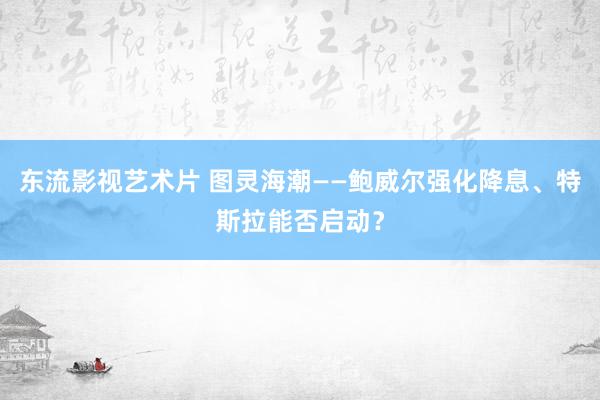 东流影视艺术片 图灵海潮——鲍威尔强化降息、特斯拉能否启动？