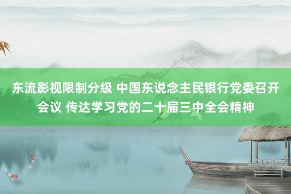 东流影视限制分级 中国东说念主民银行党委召开会议 传达学习党的二十届三中全会精神