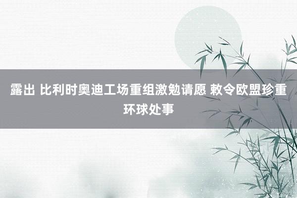 露出 比利时奥迪工场重组激勉请愿 敕令欧盟珍重环球处事