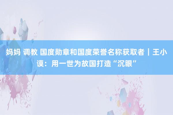 妈妈 调教 国度勋章和国度荣誉名称获取者｜王小谟：用一世为故国打造“沉眼”