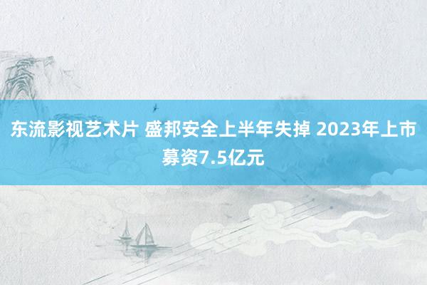 东流影视艺术片 盛邦安全上半年失掉 2023年上市募资7.5亿元