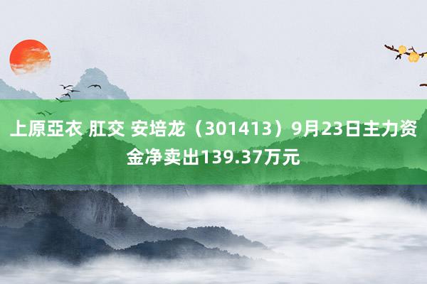 上原亞衣 肛交 安培龙（301413）9月23日主力资金净卖出139.37万元