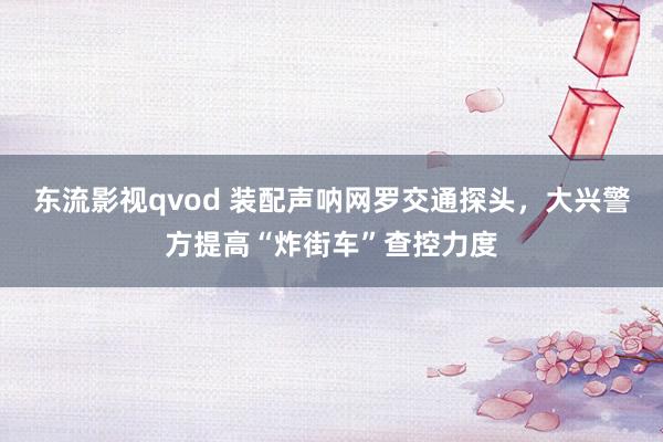 东流影视qvod 装配声呐网罗交通探头，大兴警方提高“炸街车”查控力度