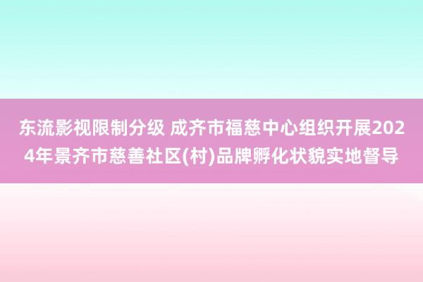 东流影视限制分级 成齐市福慈中心组织开展2024年景齐市慈善社区(村)品牌孵化状貌实地督导