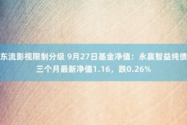 东流影视限制分级 9月27日基金净值：永赢智益纯债三个月最新净值1.16，跌0.26%