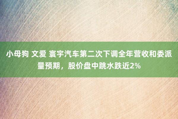 小母狗 文爱 寰宇汽车第二次下调全年营收和委派量预期，股价盘中跳水跌近2%