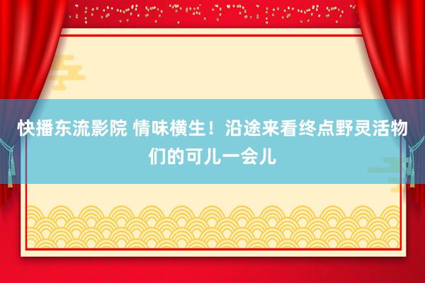 快播东流影院 情味横生！沿途来看终点野灵活物们的可儿一会儿