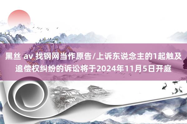 黑丝 av 找钢网当作原告/上诉东说念主的1起触及追偿权纠纷的诉讼将于2024年11月5日开庭