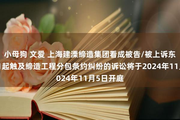 小母狗 文爱 上海建溧缔造集团看成被告/被上诉东说念主的1起触及缔造工程分包条约纠纷的诉讼将于2024年11月5日开庭