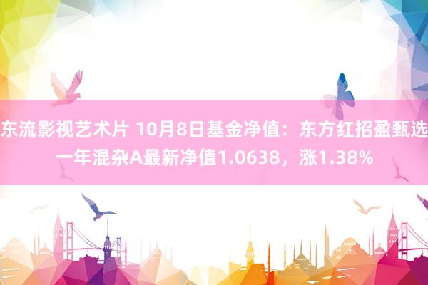 东流影视艺术片 10月8日基金净值：东方红招盈甄选一年混杂A最新净值1.0638，涨1.38%