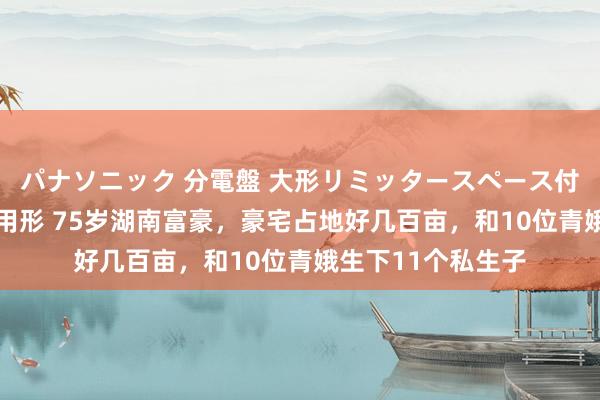 パナソニック 分電盤 大形リミッタースペース付 露出・半埋込両用形 75岁湖南富豪，豪宅占地好几百亩，和10位青娥生下11个私生子