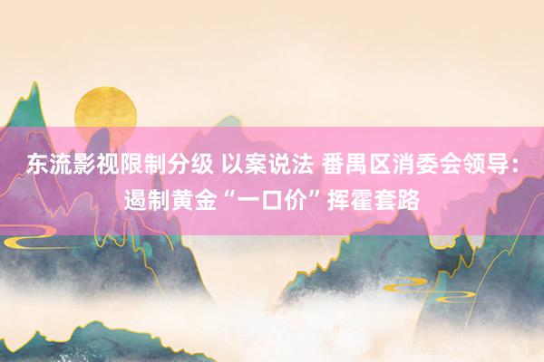 东流影视限制分级 以案说法 番禺区消委会领导：遏制黄金“一口价”挥霍套路