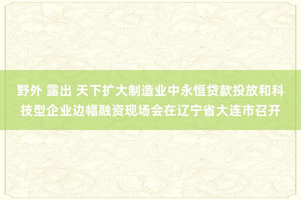 野外 露出 天下扩大制造业中永恒贷款投放和科技型企业边幅融资现场会在辽宁省大连市召开