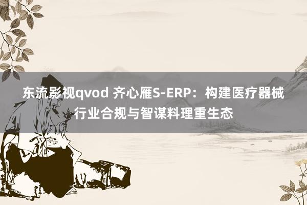 东流影视qvod 齐心雁S-ERP：构建医疗器械行业合规与智谋料理重生态