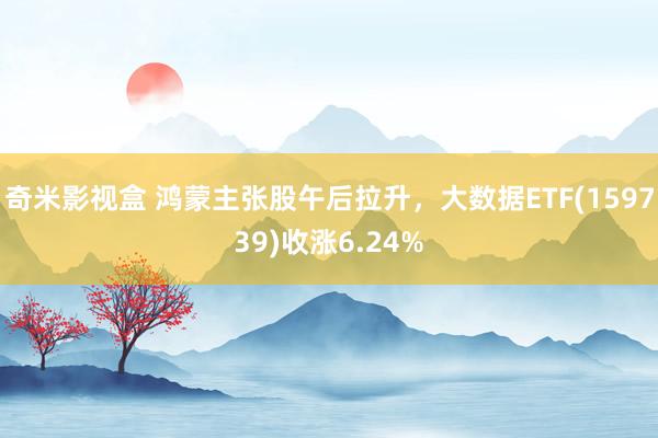 奇米影视盒 鸿蒙主张股午后拉升，大数据ETF(159739)收涨6.24%