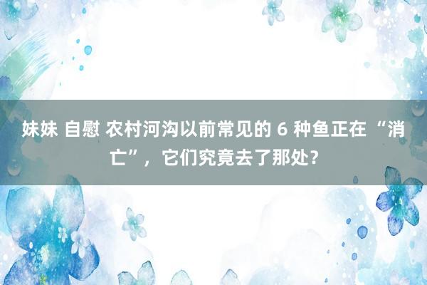 妹妹 自慰 农村河沟以前常见的 6 种鱼正在 “消亡”，它们究竟去了那处？