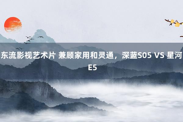 东流影视艺术片 兼顾家用和灵通，深蓝S05 VS 星河 E5