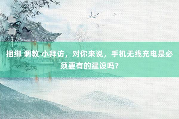 捆绑 调教 小拜访，对你来说，手机无线充电是必须要有的建设吗？