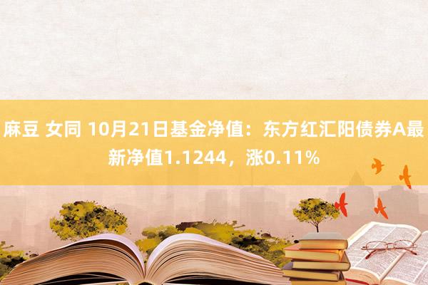 麻豆 女同 10月21日基金净值：东方红汇阳债券A最新净值1.1244，涨0.11%