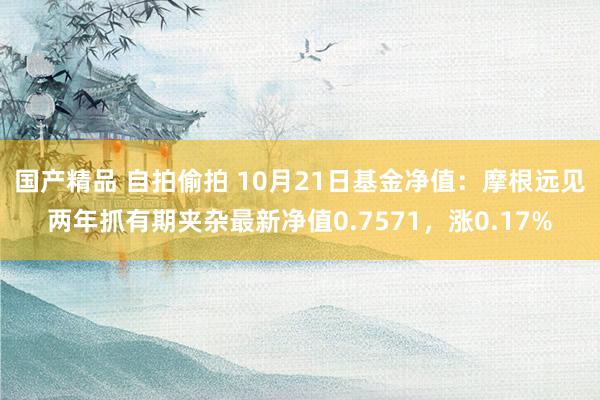 国产精品 自拍偷拍 10月21日基金净值：摩根远见两年抓有期夹杂最新净值0.7571，涨0.17%