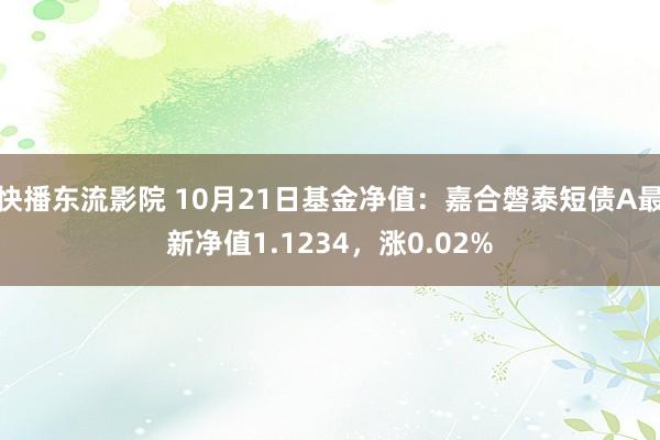 快播东流影院 10月21日基金净值：嘉合磐泰短债A最新净值1.1234，涨0.02%