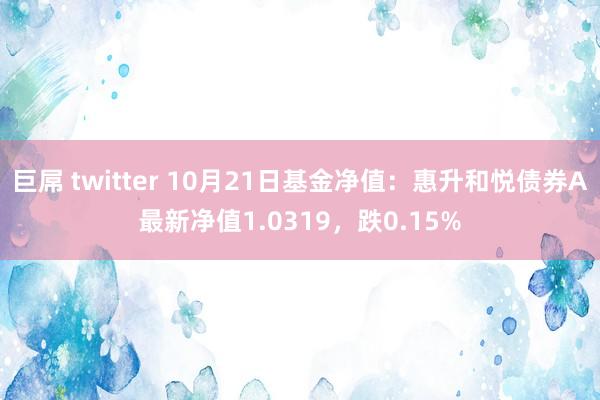 巨屌 twitter 10月21日基金净值：惠升和悦债券A最新净值1.0319，跌0.15%