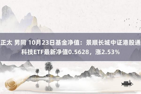 正太 男同 10月23日基金净值：景顺长城中证港股通科技ETF最新净值0.5628，涨2.53%