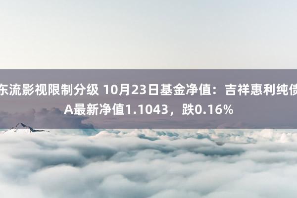 东流影视限制分级 10月23日基金净值：吉祥惠利纯债A最新净值1.1043，跌0.16%