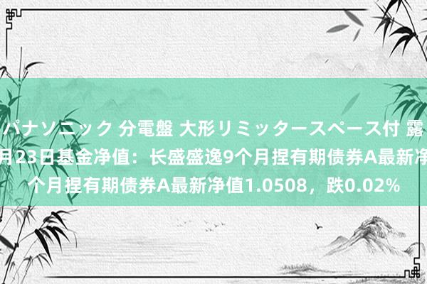 パナソニック 分電盤 大形リミッタースペース付 露出・半埋込両用形 10月23日基金净值：长盛盛逸9个月捏有期债券A最新净值1.0508，跌0.02%