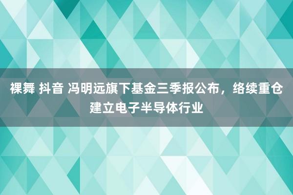 裸舞 抖音 冯明远旗下基金三季报公布，络续重仓建立电子半导体行业