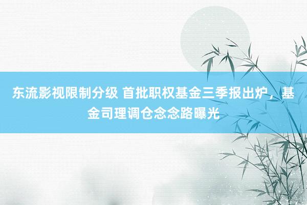 东流影视限制分级 首批职权基金三季报出炉，基金司理调仓念念路曝光