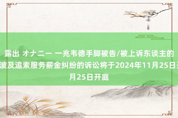 露出 オナニー 一兆韦德手脚被告/被上诉东谈主的2起波及追索服务薪金纠纷的诉讼将于2024年11月25日开庭