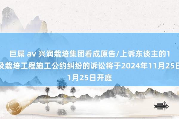 巨屌 av 兴润栽培集团看成原告/上诉东谈主的1起波及栽培工程施工公约纠纷的诉讼将于2024年11月25日开庭