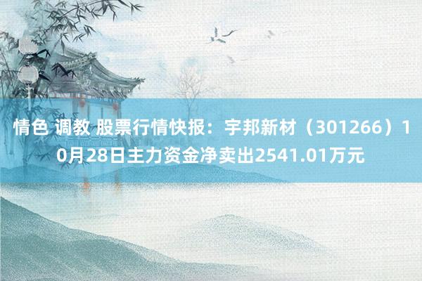 情色 调教 股票行情快报：宇邦新材（301266）10月28日主力资金净卖出2541.01万元