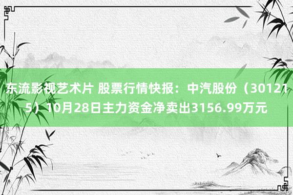 东流影视艺术片 股票行情快报：中汽股份（301215）10月28日主力资金净卖出3156.99万元