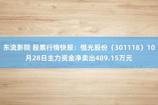 东流影院 股票行情快报：恒光股份（301118）10月28日主力资金净卖出489.15万元