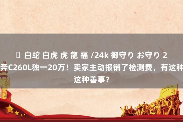 ✨白蛇 白虎 虎 龍 福 /24k 御守り お守り 21款飞奔C260L独一20万！卖家主动报销了检测费，有这种善事？