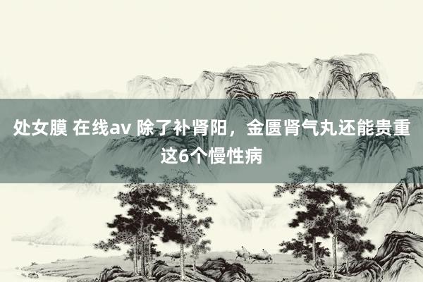 处女膜 在线av 除了补肾阳，金匮肾气丸还能贵重这6个慢性病