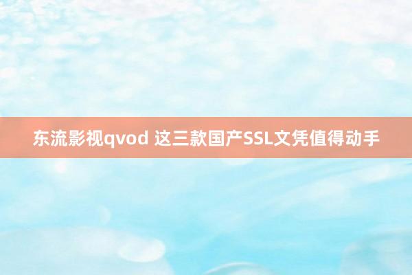 东流影视qvod 这三款国产SSL文凭值得动手