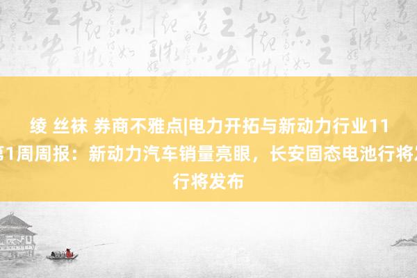 绫 丝袜 券商不雅点|电力开拓与新动力行业11月第1周周报：新动力汽车销量亮眼，长安固态电池行将发布