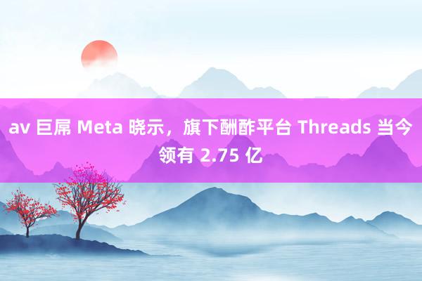 av 巨屌 Meta 晓示，旗下酬酢平台 Threads 当今领有 2.75 亿