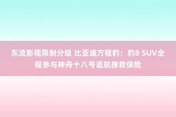 东流影视限制分级 比亚迪方程豹：豹8 SUV全程参与神舟十八号返航搜救保险